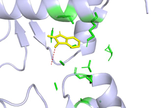 do molecular docking and virtual screening for drug discovery