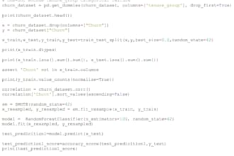 clean and preprocess your dataset using python