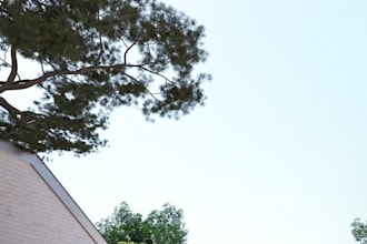 create appealing architecture render