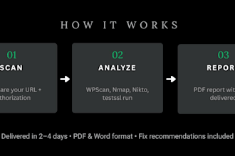 word press security audit