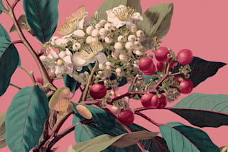 draw botanical illustrations of flowers, plants, line art