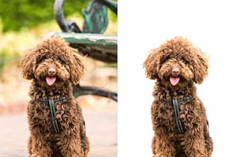 do professional photoshop hair masking and image masking service