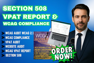 l create section 508 vpat report for wcag website accessibility compliance