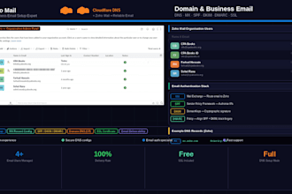 setup domain, SSL and business email