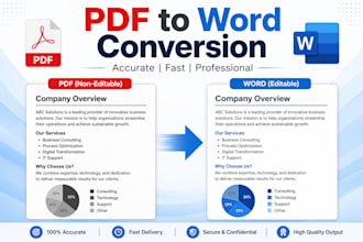 convert PDF to word manually and accurately