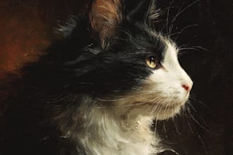 create an epic cat potrait art