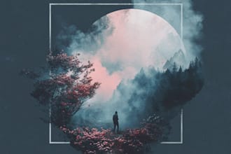 design album cover art or single cover art
