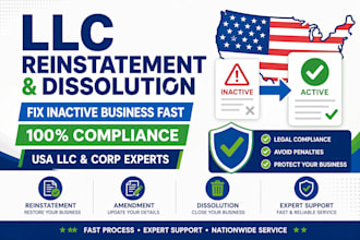 reinstate US llc or corporation, amendment and dissolution