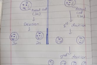 create handwritten biology notes for grade 9 and 10