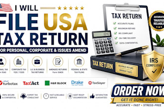 file USA tax return for personal corporate and issues amend