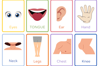 create professional flashcards for revision
