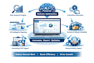 do netsuite ROI and automation audit