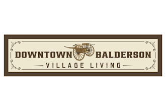 create a professional horse logo design