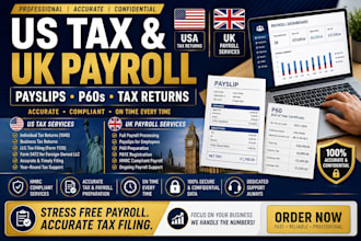 prepare and file US tax returns UK payroll payslips and p60s