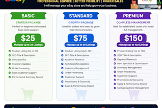 ebay product listing and store management expert
