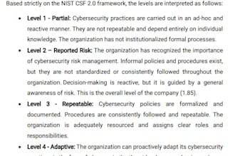 lead cybersecurity consultant and IT auditor