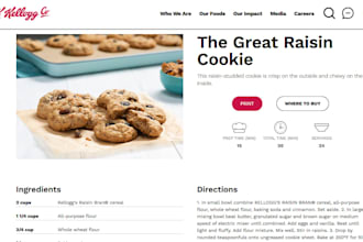 create professional portfolio webpages