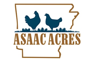 design a modern chicken and poultry logo
