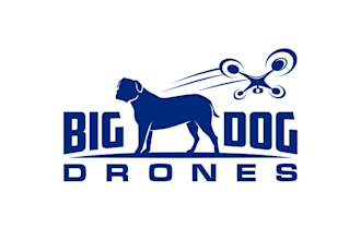 create a modern dog and drone mascot logo