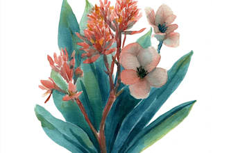 create charming food and botanical art in watercolor and ink