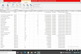 create a professional ms project schedule