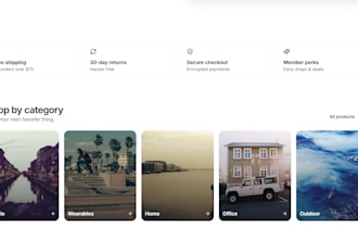 build a professional full stack web application