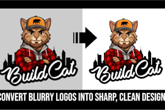 redraw, recreate, and convert logo to vector
