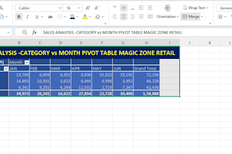excel data entry and reporting