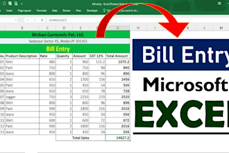 provide professional data entry services