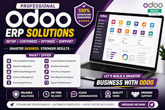 provide professional odoo implementation and customization