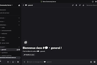 set up a professional discord server with bots
