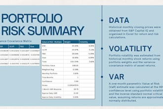 build a professional excel financial model or spreadsheet