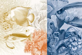 draw a scientific illustration