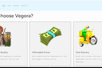 shopify product listing and collection management professionally