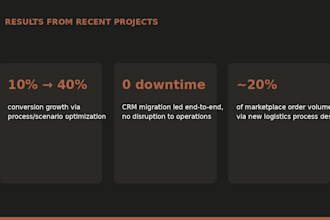 audit your business process and deliver an action plan