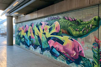 create abstract art, graffiti and illustration expressionism