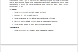 proofread and edit your english and bangla documents professionally