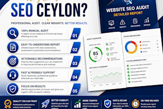 do a professional website SEO audit with actionable report