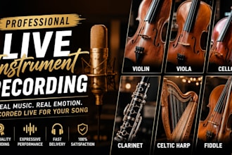 record live violin viola cello clarinet celtic harp fiddle for your song