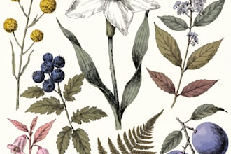 draw botanical illustrations of flowers, plants, line art