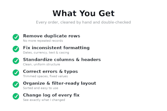 clean, format and organize your messy excel or CSV data