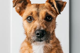 draw a funny custom pet caricature portrait from your photo