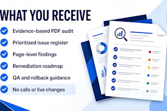 provide a wordpress or shopify store audit and action plan