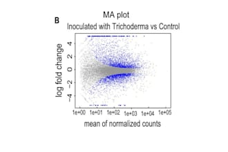 analyze your single cell rna seq data and provide tailored insights