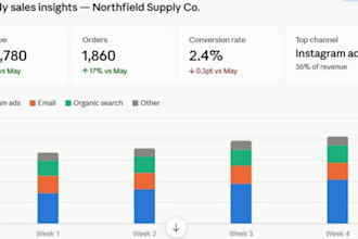 build a shopify sales dashboard with KPI tracking and analytics reports