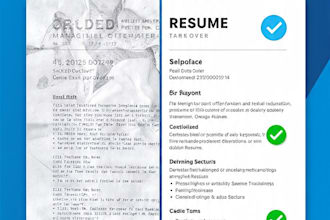 write professional resume, CV and cover letter for job