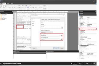 business central report layout modification and customization