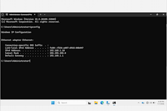 provide remote IT support for windows PC troubleshooting