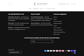 a professional shopify store or shopify website for your business