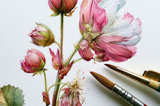 draw a botanical illustration